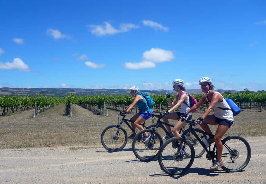 Mclaren Vale Hills Vines and Wines Bike Tour from Adelaide - The descent toward McLaren Vale