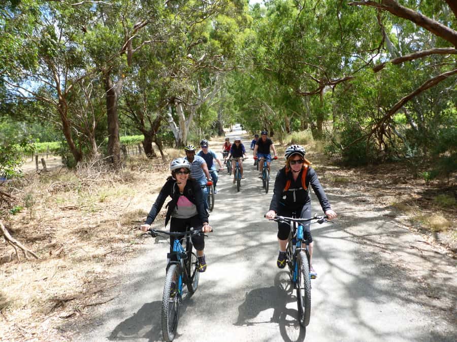 Mclaren Vale Hills Vines and Wines Bike Tour from Adelaide - McLaren Vale wineries and the pleasure of stopping