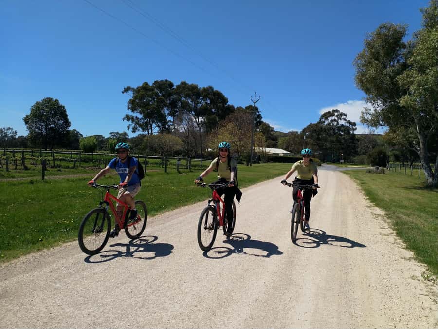 Mclaren Vale Hills Vines and Wines Bike Tour from Adelaide - Choosing the afternoon stop