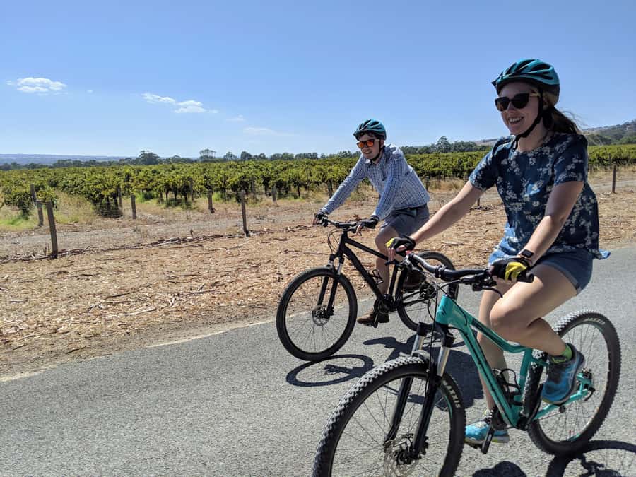 Mclaren Vale Hills Vines and Wines Bike Tour from Adelaide - What the guides and group size add