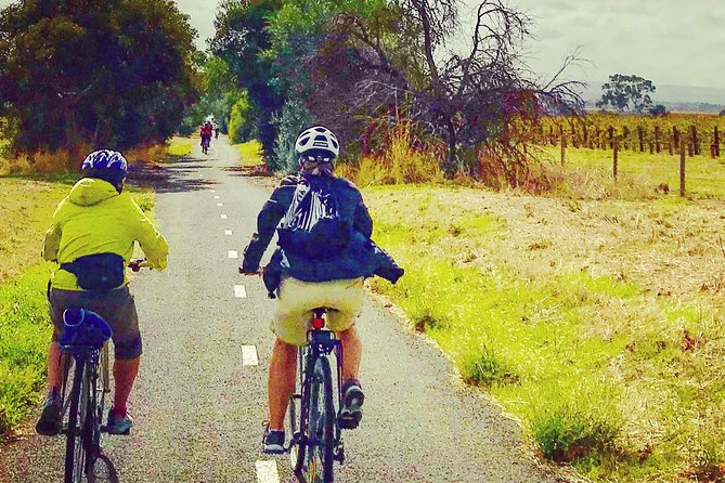 McLaren Vale Shiraz Trail Cycling Tour from Adelaide - Riding the Shiraz Trail at an easy pace