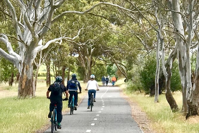 McLaren Vale Shiraz Trail Cycling Tour from Adelaide - Wirra Wirra Vineyards and the wine stop