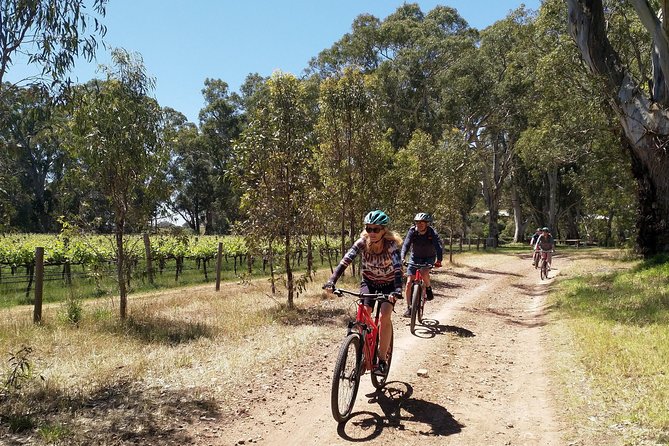 McLaren Vale Wine Tour by Bike - Two cellar doors and the value of smaller producers