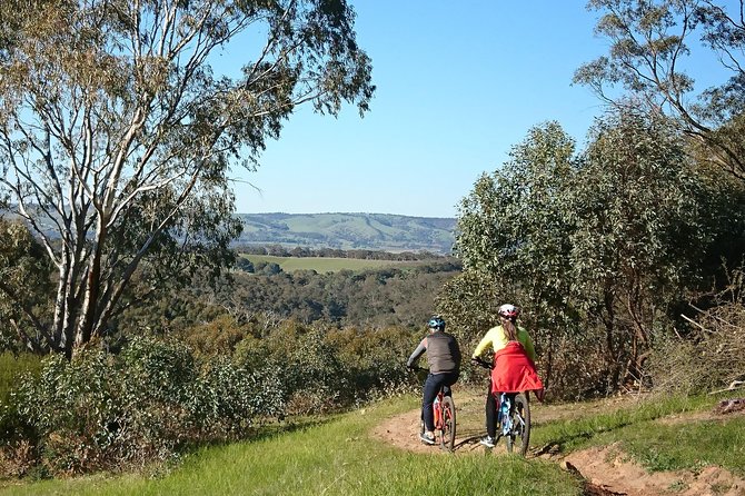 McLaren Vale Wine Tour by Bike - Choosing the final stop