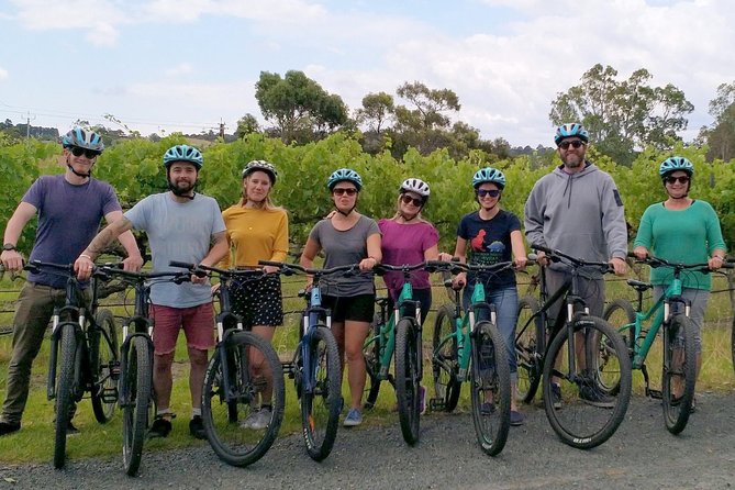 McLaren Vale Wine Tour by Bike - What the small group adds