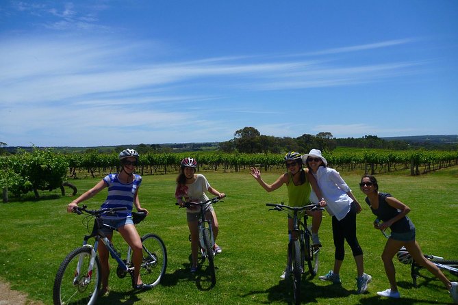 McLaren Vale Wine Tour by Bike - How hard is the cycling?