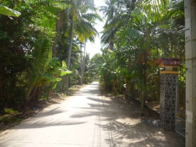 Mekong Day Tour by Car:Cai Be market, Local Island & Cycling