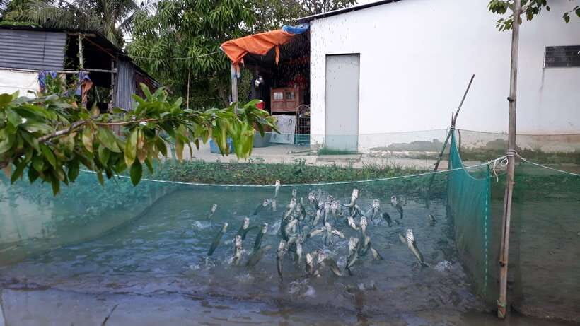 Mekong Day Tour by Car:Cai Be market, Local Island & Cycling - What the private format adds