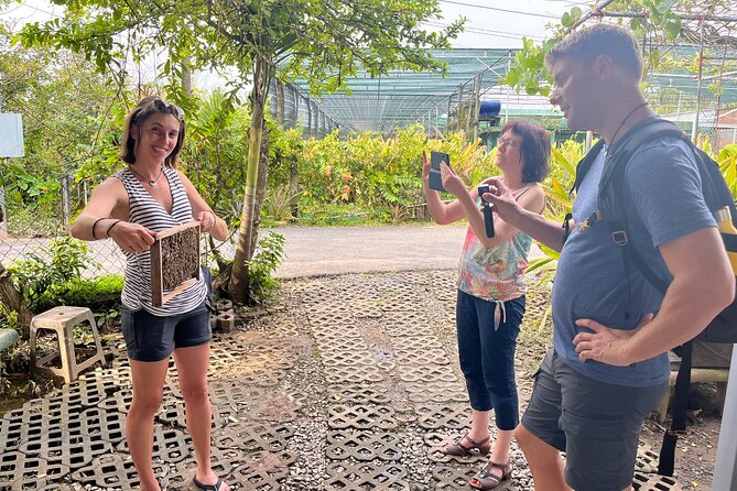 Mekong Day Trip Explore Village Bicycle CookingClass Group 12 Pax - The road from Ho Chi Minh City to Ben Luc