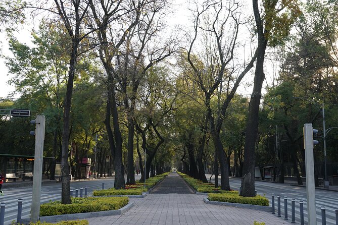 Mexico City: 19 City Highlights Bicycle Tour - The Monument to the Revolution and the ride back to Roma Norte