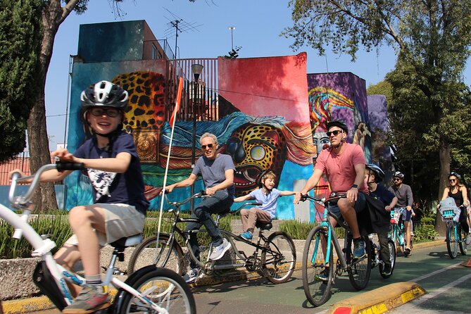 Mexico City; ART NACO : Murals & Street Art Bike Tour - Bike condition, guide style, and the small drawbacks