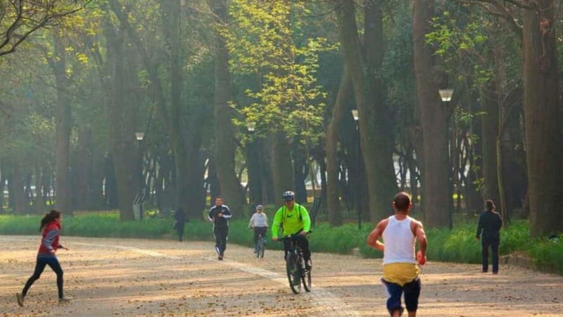 Mexico City: Private Chapultepec Park Bike Tour - Why this two-hour ride is worth considering