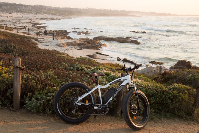Monterey's 17 Mile Drive Guided Electric Bike Tour, 3 hr - What the guide adds to the experience
