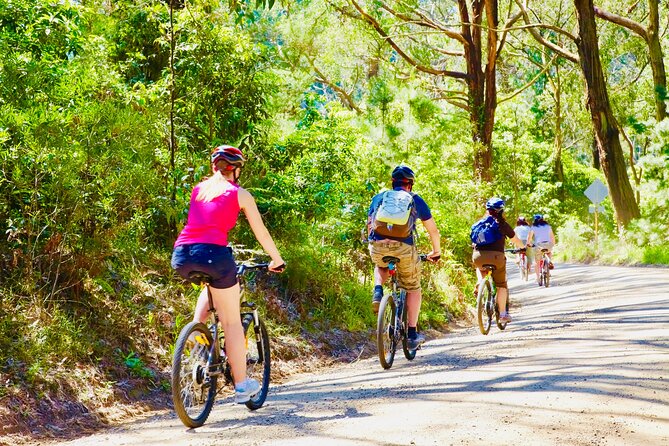 Mornington Peninsula Self-Guided Bike Tour | Food & Wine Region - Starting high at Seawinds Gardens