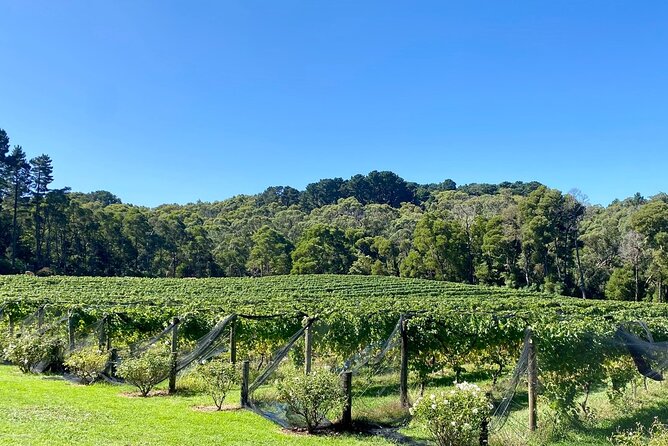 Mornington Peninsula Self-Guided Bike Tour | Food & Wine Region - Mock Red Hill Orchard and local cider