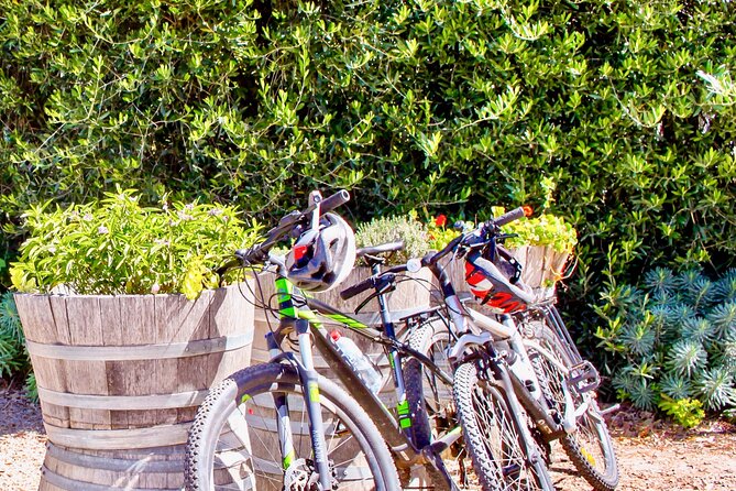 Mornington Peninsula Self-Guided Bike Tour | Food & Wine Region - Arthurs Seat views before the pedals turn