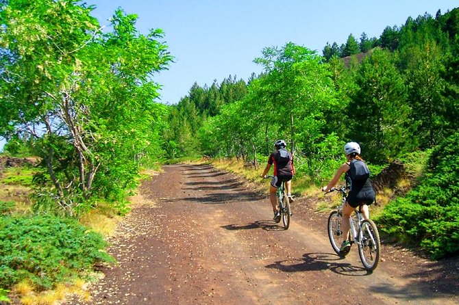 Mountain Biking Etna by MTB or E-Bike - The Giovanni Gualberto Forestry House stop