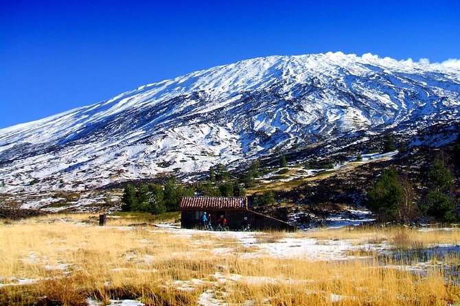 Mountain Biking Etna by MTB or E-Bike - The sandy descent through woods and old lava