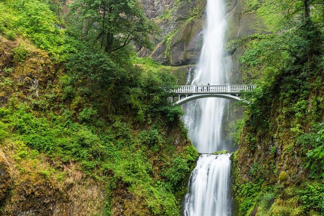 Multnomah Falls Ebiking Tour to 6 Columbia River Gorge Waterfalls - Key points to know before you ride