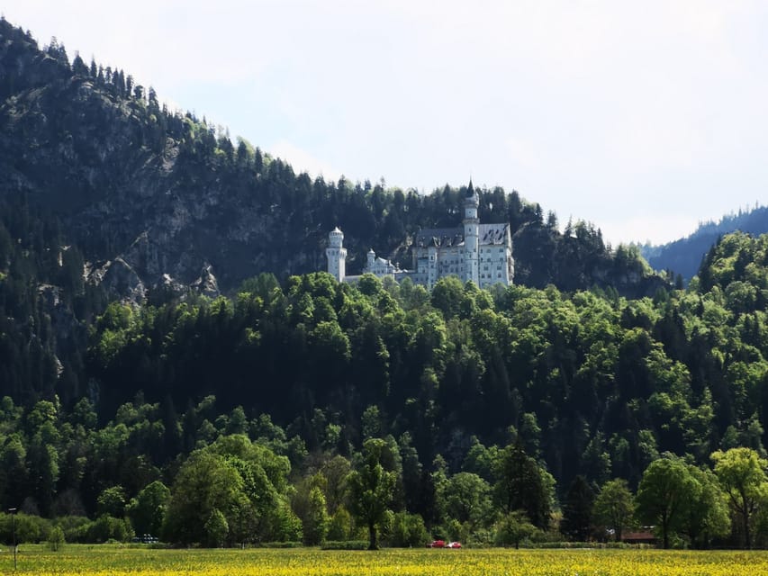 Munich: Neuschwanstein Castle by Bus with Alpine Bike Ride - Swimming in summer and stopping for lunch