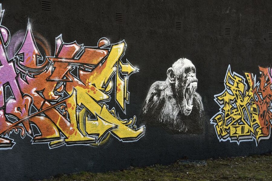 Munich: Street Art Bike Tour - Giesing, the former working-class neighborhood