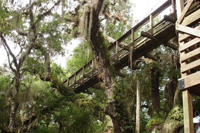 Myakka State Park E-bike Safari - Who will enjoy this ride most?