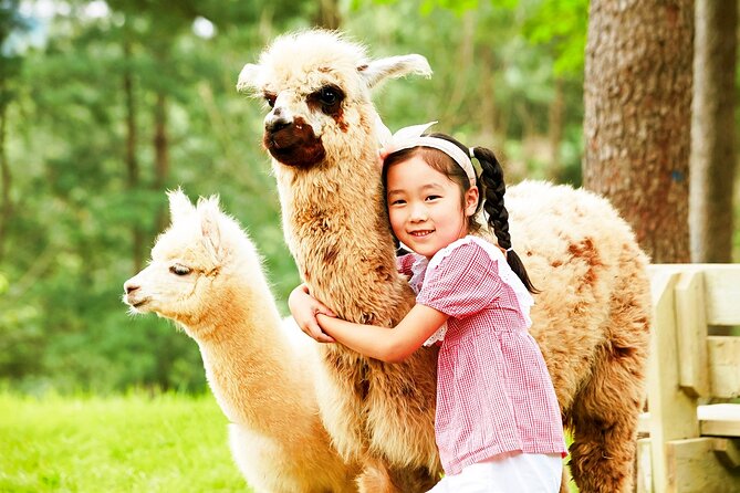 Nami+Alpaca+Garden of Morning Calm (+Rail Bike Option) - Guides make the long day easier