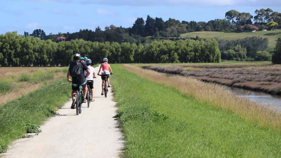 Napier: Art Deco Bike Ride and Wineries Loop - Key points to know before you ride