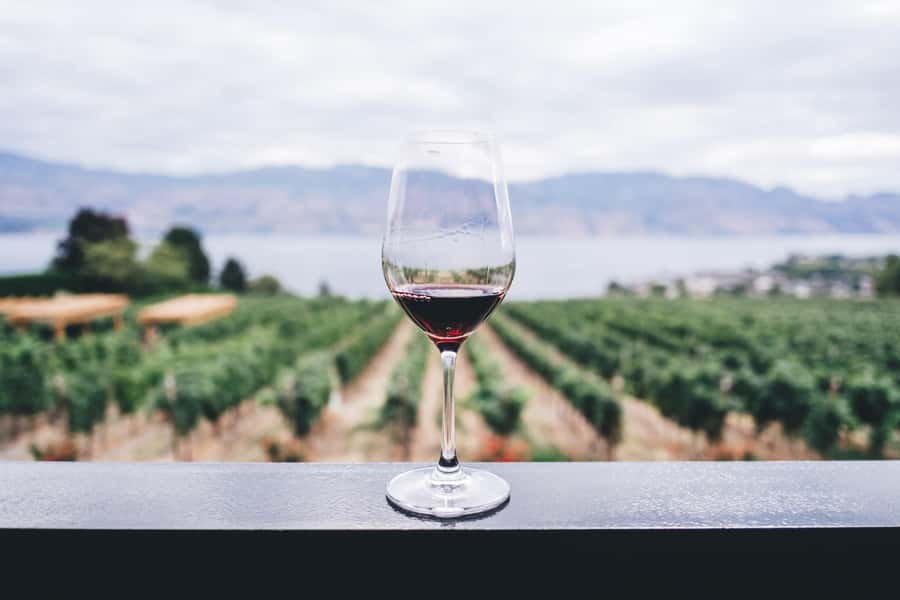 Napier: Art Deco Bike Ride and Wineries Loop - Coastal cycling with Cape Kidnappers in view