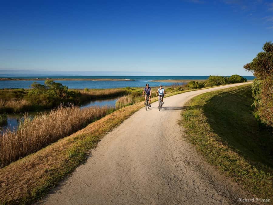 Napier: Cape Coast Winery Tour on E-Bikes - Why this Hawke’s Bay ride works so well