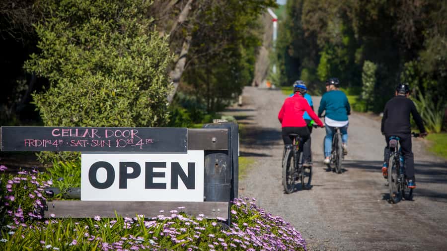 Napier: Cape Coast Winery Tour on E-Bikes - Clearview Estate and Elephant Hill