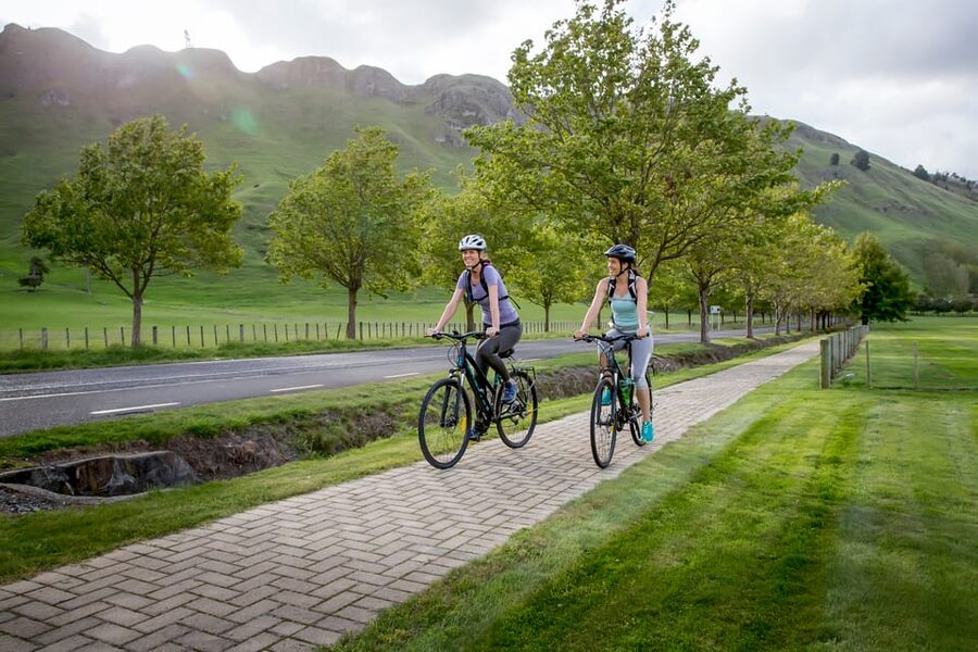 Napier: Cape Coast Winery Tour on E-Bikes - What the $89 price really covers