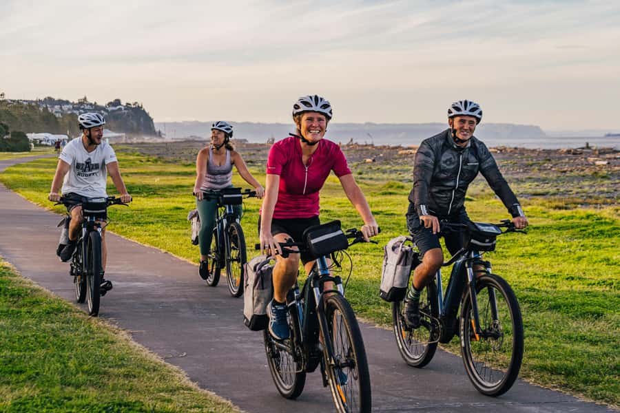 Napier: Cruise Self-Guided Cycle Ride to Winery - Half Day - Key points at a glance