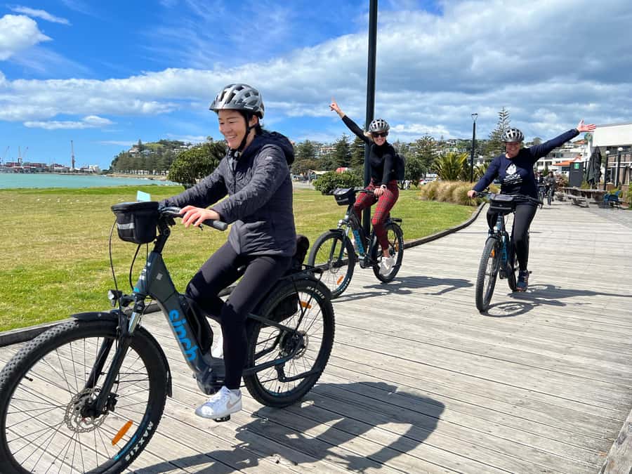 Napier: Cruise Self-Guided Cycle Ride to Winery - Half Day - Why Hawke’s Bay works so well by bike