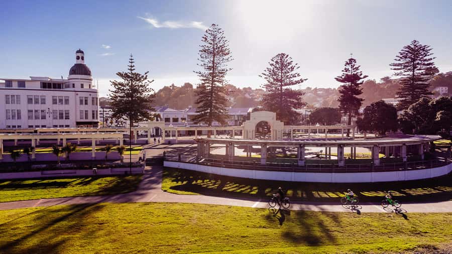Napier: Cruise Self-Guided Cycle Ride to Winery - Half Day - Standard bike or e-bike?