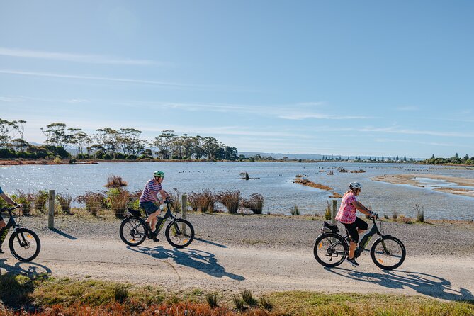 Napier E-bike Hire - Key points for your Napier ride