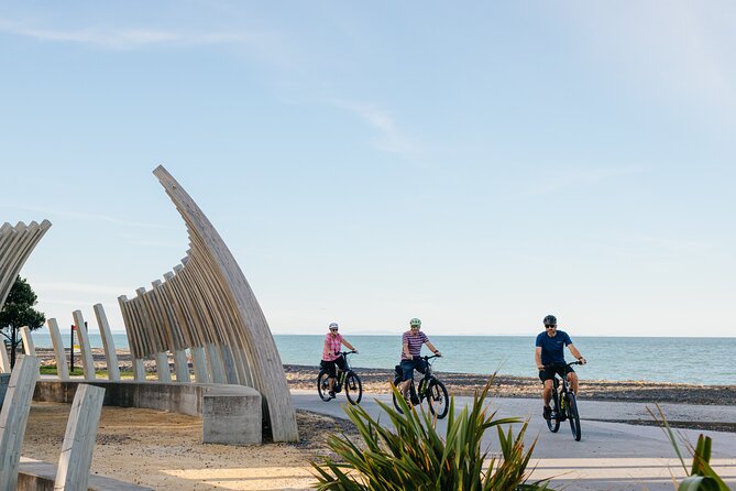 Napier E-bike Hire - How much ground can you cover?