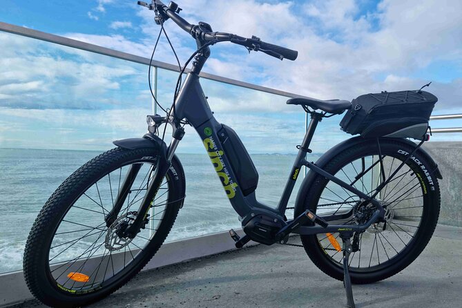 Napier E-bike Hire - Getting comfortable on a step-through e-bike
