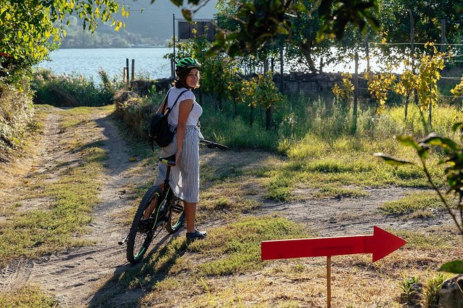 Naples Scenic E-Bike Ride to a Local Vineyard with Meal - Who Should Book This Ride?