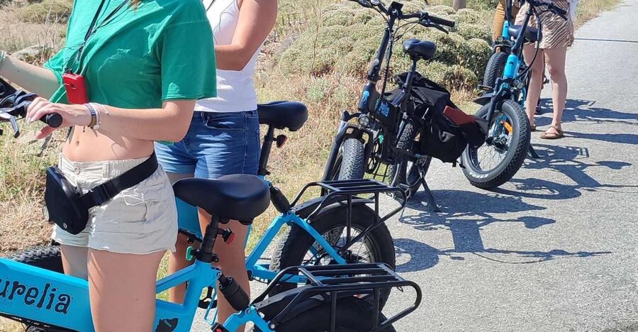 Naxos: Private E-Bike Tour with Farm Lunch - The guides make the difference