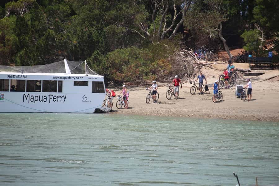 Nelson to Mapua: Full-Day Cycling Self-Guided Adventure - Starting in Nelson with a bike that fits