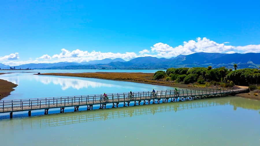 Nelson to Mapua: Full-Day Cycling Self-Guided Adventure - The honest view of the less scenic stretch