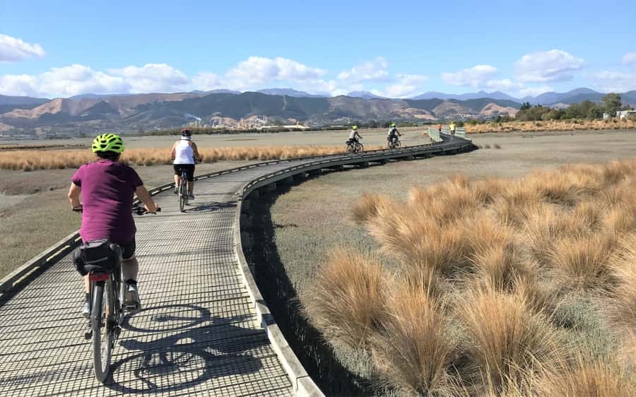 Nelson to Mapua: Full-Day Cycling Self-Guided Adventure - Rabbit Island: choose salt water or fresh water