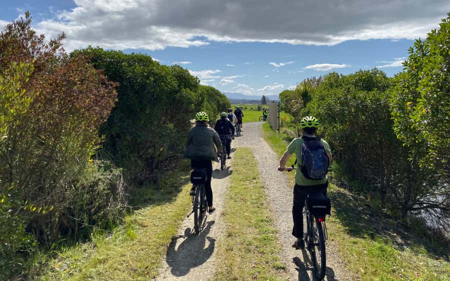 Nelson to Mapua: Full-Day Cycling Self-Guided Adventure - What the $77 price really covers