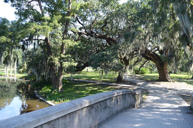 New Orleans History and Sightseeing Small-Group Bike Tour - City Park and centuries-old live oaks