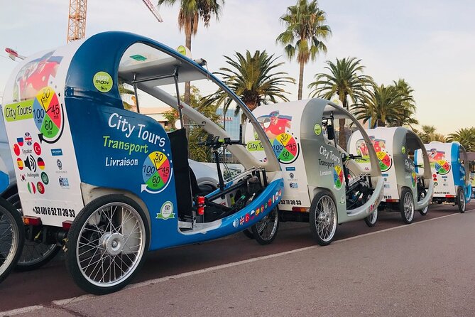 Nice: private guided Tour by electric taxi bike - From Garibaldi Square to the port