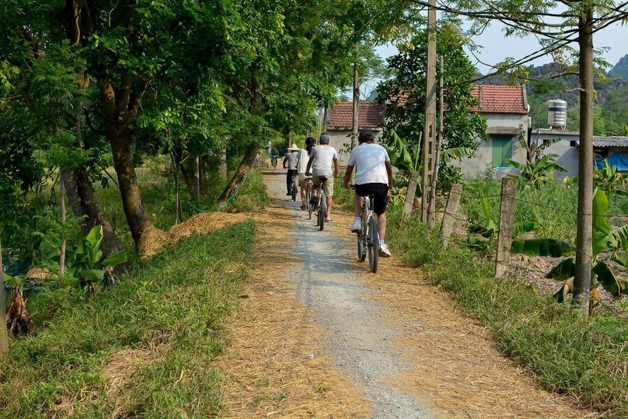 Ninh Binh Daily: Hoa Lu, Mua Cave, Tam Coc, Bike & Swimming - Cycling through villages and rice paddies