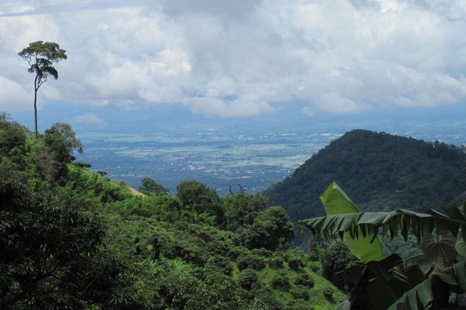 No.1 Chiang Mai: Advanced Downhill Mountain Biking, Suthep N.Park - Hill tribe farms and mountain villages