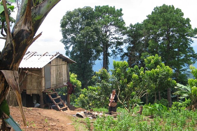 No.1 Chiang Mai: Advanced Downhill Mountain Biking, Suthep N.Park - Is $74.95 a fair price?