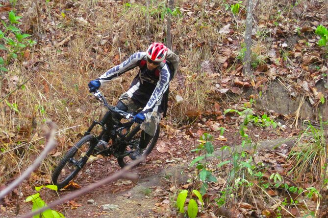 No.1 Chiang Mai: Advanced Downhill Mountain Biking, Suthep N.Park - Who should book this Chiang Mai bike ride?
